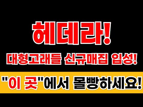 [ 헤데라 ] 대형 고래들 신규매집입니다. 이알트코인 안사면 후회! 무조건 사세요 #헤데라코인 #헤데라전망 #헤데라호재