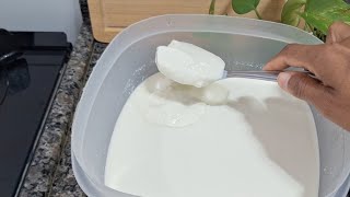 Iogurte natural caseiro que dá certo sempre - vem aprender!"