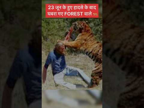 23 जून के हुए हादसे के बाद घबरा गए FOREST वाले #jimcorbett #tiger #forest #jungle