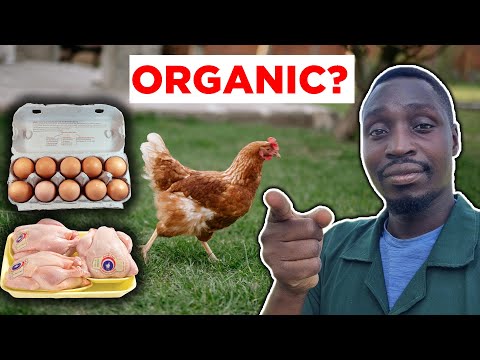 Can You Trust Organic Chickens? The Shocking Truth They Didn't Tell You!