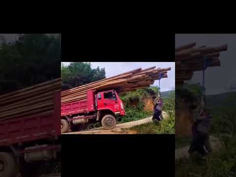 ചങ്കുറപ്പും എല്ലുറപ്പും അതിനപ്പുറവും ??#kerala #timberworkers #loading #l #lumberjack #tatase