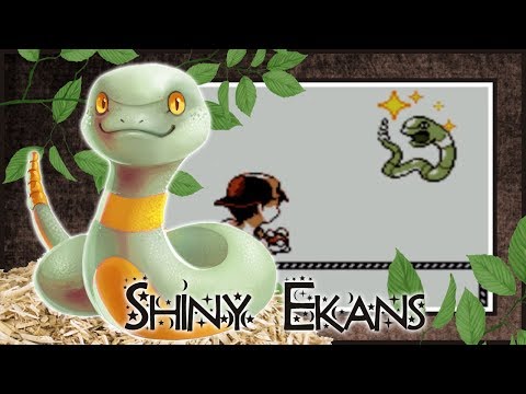 {WSHC #3} LIVE ON STREAM!! Shiny Ekans on Pokemon Silver VC after 2035 REs!