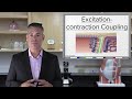 Muscle Contraction Mechanisms and Processes