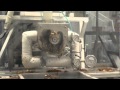 Sustainable Materials and Mycelium Innovation