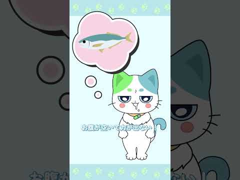 【Vlog】どじっ子ねこいちさん ちょっぴり不憫な1日
