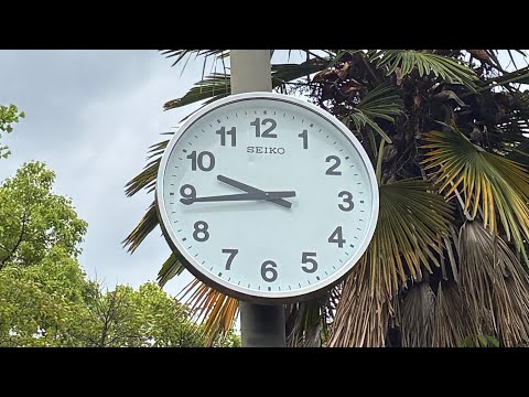中央公園セイコーKH411S屋外用掛け時計