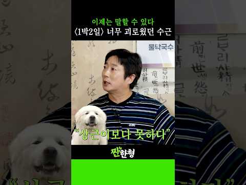 🤬이제는 말할 수 있다! 이수근이 밝히는 🎬 [1박2일] 찐찐찐 비하인드 #짠한형, #신동엽, #정호철, #이수근, #은지원
