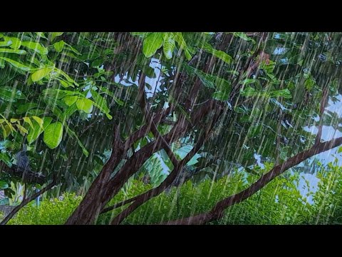 Rain sounds for sleeping cozy🌧️ Relaxing rain sounds - Sleep fast and End Insomnia - ASMR Rain Sound