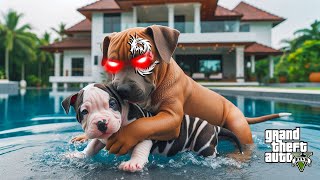 YAVRU PİTBULL AKREP VE VENOM DÖVÜŞÜYOR! - GTA 5 PİTBULL'UN HAYATI