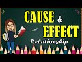 Understanding Cause and Effect Relationships