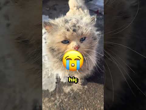 Bu Çocuk Arkadaşını Havaya Uçurdu! 😳💥