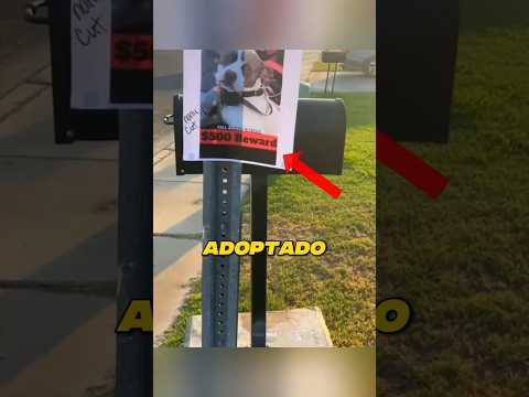 Vio a su perro en un cartel de desaparecido 😳🐶💔