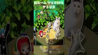 対猫ミーム戦【スーパーマリオRPG】