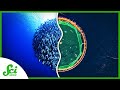 Sustainable Fishing Practices and Aquaculture