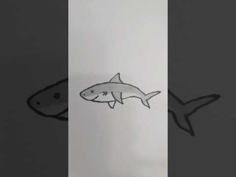 كيف نرسم سمكة القرش How to draw a shark /. Comment dessiner un requin