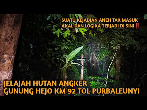 TAK MASUK AKAL DAN LOGIKA, KEJADIAN ANEH DI HUTAN ANGKER GUNUNG HEJO KM 92