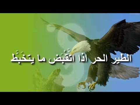 السلام عليكم ❤️ كيف حالكم ❤️