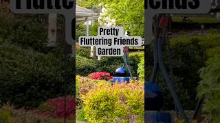 Beautiful Butterfly Garden
