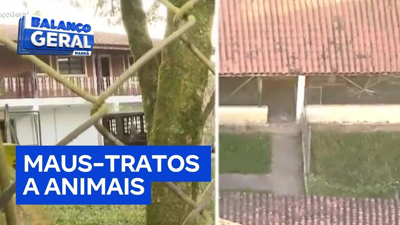 Operação da polícia investiga denúncia de maus tratos a animais em Mairiporã