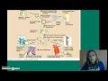 Biotechnology Concepts and Techniques