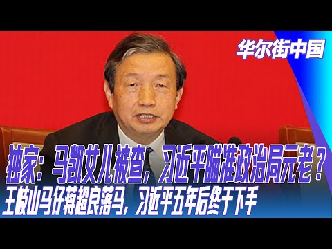 独家：马凯女儿被查，习近平瞄准政治局元老？王岐山马仔蒋超良落马，习近平五年后终于下手｜华尔街中国