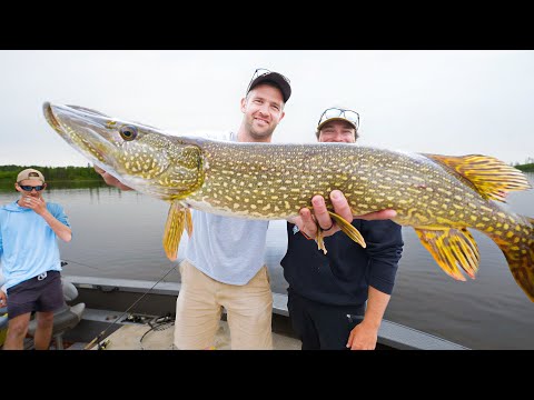 Most Expensive Fish Fry of my LIFE (100% worth it)