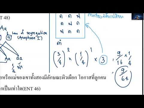 ตะลุยโจทย์Genetics