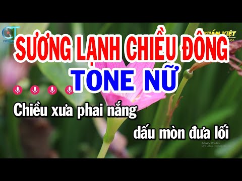 Karaoke Sương Lạnh Chiều Đông Tone Nữ ( Am ) Nhạc Sống Tuấn Kiệt