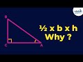 Understanding Triangle Properties and Area