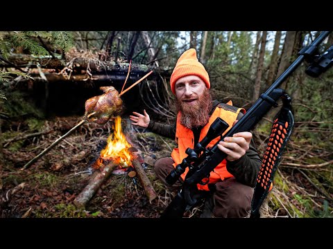 Lost with a 22 Rifle, Hunt for Survival | Build Natural Bush Shelter from Forest Debris (ASMR)