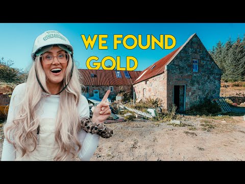 We bought this ABANDONED barn - Let’s clear it out! (Ep.10)