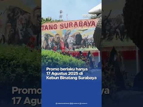 Video thumbnail Gratis Masuk KBS 17 Agustus Khusus Agus, Ultah, dan Lansia