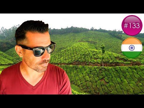 LES INCROYABLES PAYSAGES DE MUNNAR ! ???????? | INDE | #133
