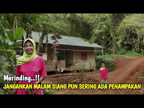 Merinding !! Jumpa Satu Keluarga Yang Tinggal 30 Tahun Di Rumah Pinggir Hutan