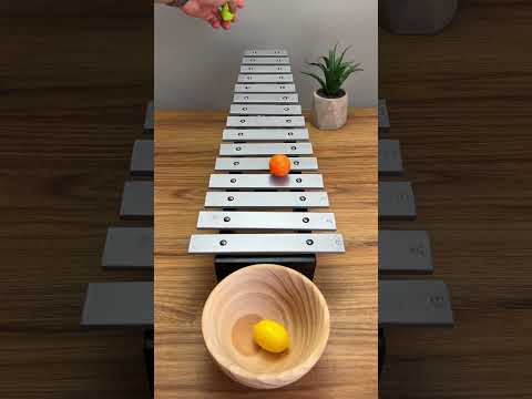 🍋🎵🥄 Lemon drop symphony