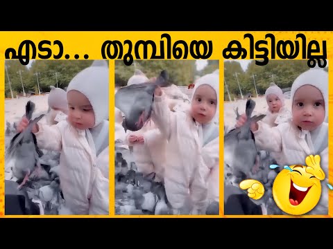 എടാ... തുമ്പിയെ കിട്ടിയില്ല 😂😂😂#viralvideo #funny #kasaragodwedding #comedyfilms #comedy