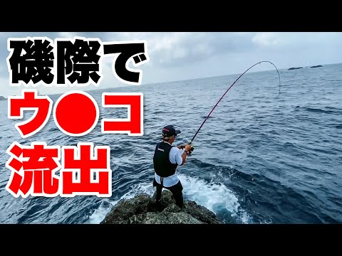 【事件】串本の絶海磯で釣りしていたらウ○コが出た