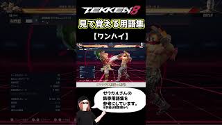 【鉄拳8】見て覚える用語集【ワンハイ】