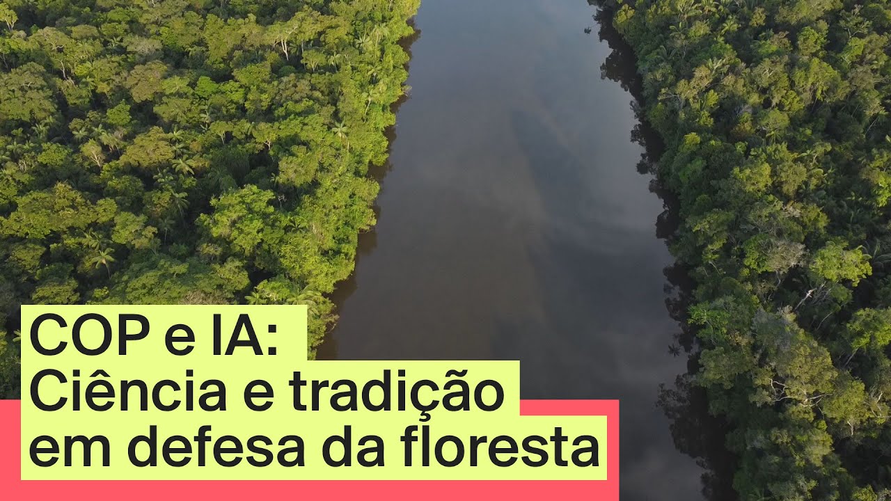 Ciência e tradição se unem na Amazônia através de projetos que usam Inteligência Artificial