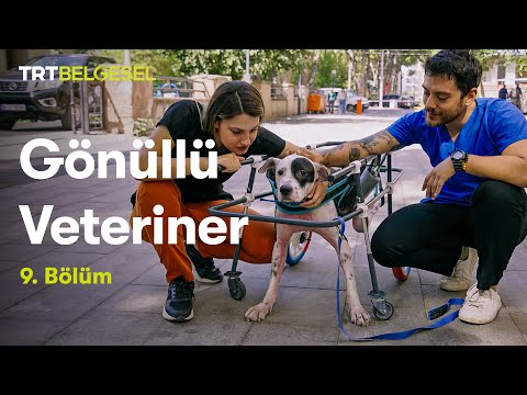 Gönüllü Veteriner | 9. Bölüm | TRT Belgesel