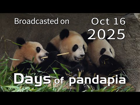 20251016 Broadcast Top Highlights 06