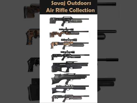 This Place is Packed with Airguns! 🎯 Airgun Hostel #shorts #savajoutdoors #airrifleshooting