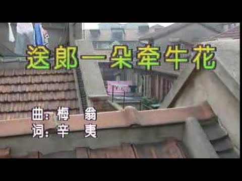 吳鶯音 – 送郎一朵牽牛花