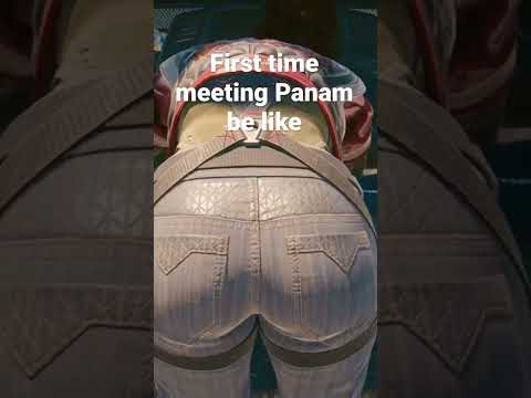 Cyberpunk 2077 Meeting Panam for the first time be like