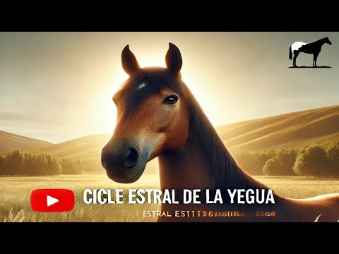 ¿Cómo Saber Si Mi Yegua Esta En Celo? 🐴-Del Cerro Soy