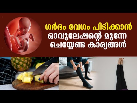 ഗര്‍ഭം വേഗം പിടിക്കാന്‍ ഓവുലേഷന്റെ മുന്നേ ചെയ്യേണ്ട കാര്യങ്ങള്‍ | successful implantation ,Ovulation