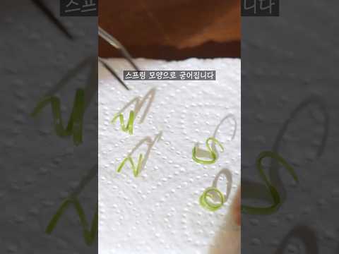 파인 다이닝 대파스프링 #shorts