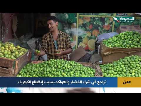 قناة السعيدة الفضائية