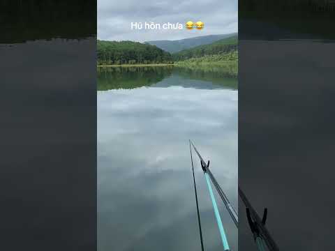 Đi câu koms xong bày đặt quay cảnh đẹp phong cách điện ảnh đồ #ducauky #fishing #campping #cauca