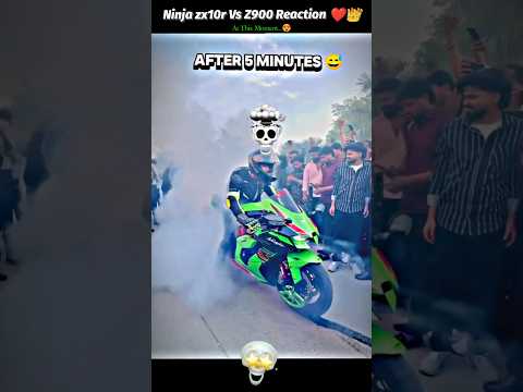 Ninja Zx10r Vs Z900 ❤️👑 #rider #zx10rvsz900 #stunt #bikerider #shorts